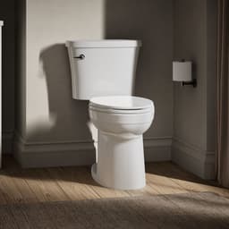 image focused on single product story