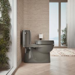 Elevated Quiet-CloseE elongated toilet seat - image 4