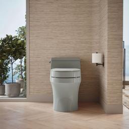 Elevated Quiet-CloseE round-front toilet seat - image 5