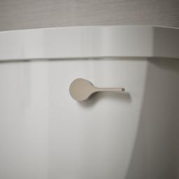 Cimarron Right-hand trip lever - image 4