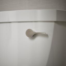 Cimarron Right-hand trip lever - image 4