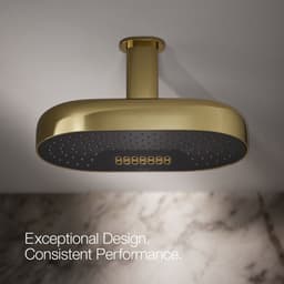 image focused on single product story