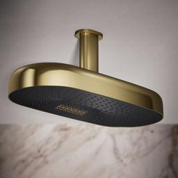 Kohler | Statement | Rainshower Shower Head - Vibrant French Gold - image 2