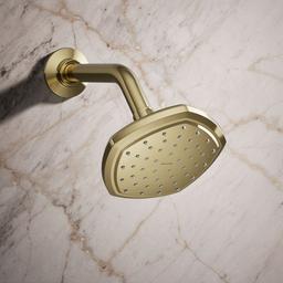 Kohler Occasion Single-function showerhead, 2.5 gpm - Vibrant French Gold - image 2