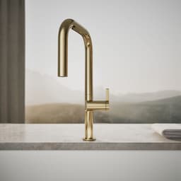 image focused on single product story