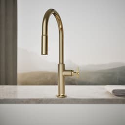 image focused on single product story