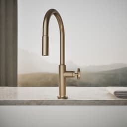 image focused on single product story