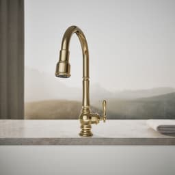 image focused on single product story