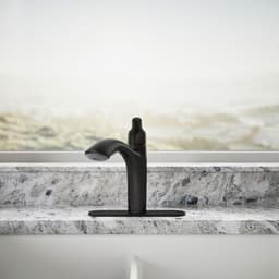 image focused on single product story