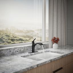 Kohler | Rival | Pull Out Kitchen Faucet - Matte Black - image 4