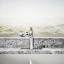 image focused on single product story