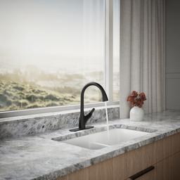 Kohler | Rival | Pull Down Kitchen Faucet - Matte Black - image 4