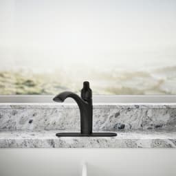 image focused on single product story