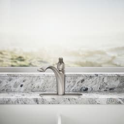 image focused on single product story