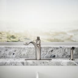 image focused on single product story