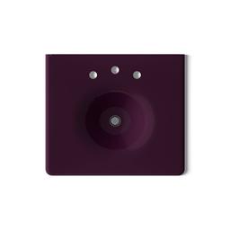 Kohler Iron/Impressions 25'' Enameled cast iron vanity top with integrated round sink - Black Plum - image 3