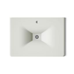 Kohler Iron/Impressions 31'' Enameled cast iron vanity top with integrated rectangular sink - Dune - image 3