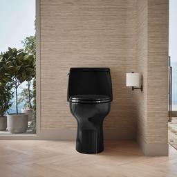 Santa RosaE ContinuousClean ST one-piece compact elongated toilet, 1.28 gpf - image 5