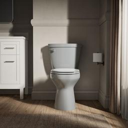 Cimarron Elongated toilet bowl - image 2