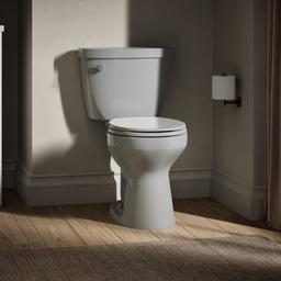 Kohler Cimarron Round-front toilet bowl - Ice Grey - image 2