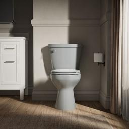 Kohler Cimarron Round-front toilet bowl - Ice Grey - image 3