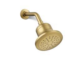 CinqE Round single-function filtered showerhead, 2.5 gpm - Vibrant Brushed Moderne Brass - image 1