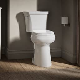 image focused on single product story