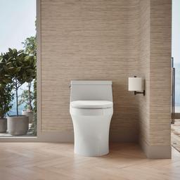 San Souci One-piece round-front toilet, 1.28 gpf - image 5