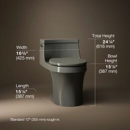 San Souci One-piece round-front toilet, 1.28 gpf - image 3