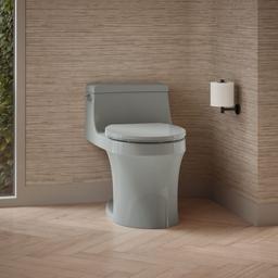 San Souci One-piece round-front toilet, 1.28 gpf - image 2