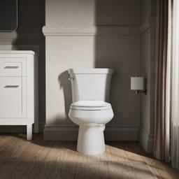 Kohler Wellworth Round-front toilet bowl - White - image 2