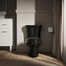 Kohler Wellworth Elongated toilet bowl - Black - image 4