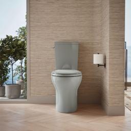 Kohler | Persuade | Toilet Bowl - Ice Grey - image 4