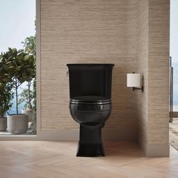 Archer Elongated toilet bowl - image 4