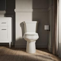 Highline Elongated toilet bowl - image 5