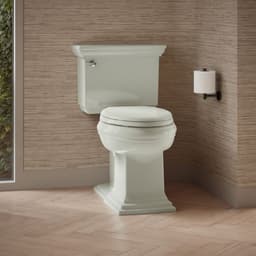 image focused on single product story