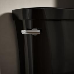 Kohler | Wellworth | Toilet Tank - Black - image 2