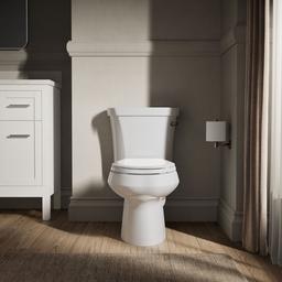Kohler | Wellworth | Toilet Tank - White - image 2