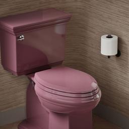 LustraE Quick-ReleaseE elongated toilet seat - image 2