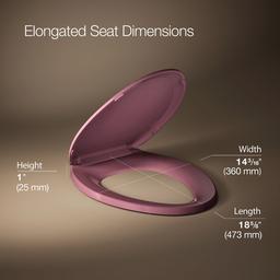 LustraE Quick-ReleaseE elongated toilet seat - image 3