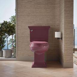 LustraE Quick-ReleaseE elongated toilet seat - image 5