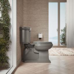 LustraE Quick-ReleaseE elongated toilet seat - image 4