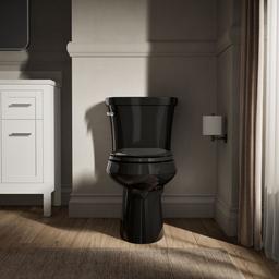 Kohler | Wellworth | Toilet Tank - Black - image 2