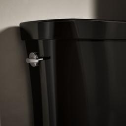 Kohler | Wellworth | Toilet Tank - Black - image 4