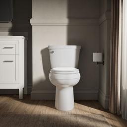 Cimarron Elongated toilet bowl with skirted trapway - image 2