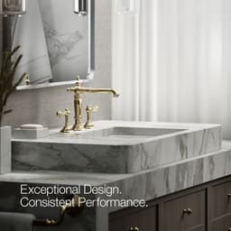 image focused on single product story