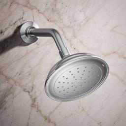 Artifacts Single-function showerhead, 1.75 gpm - Polished Chrome - image 2
