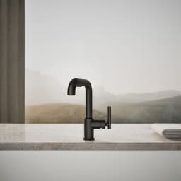 image focused on single product story