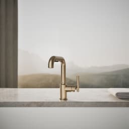 image focused on single product story
