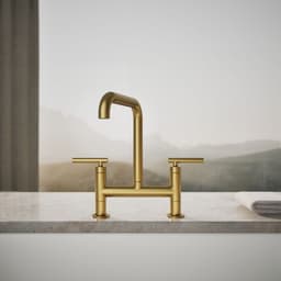 image focused on single product story